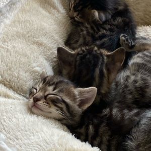 Meet your Posher, Joanna